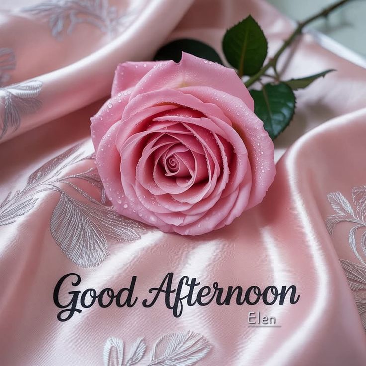 salomy🇪🇬🇦🇹 tweet media