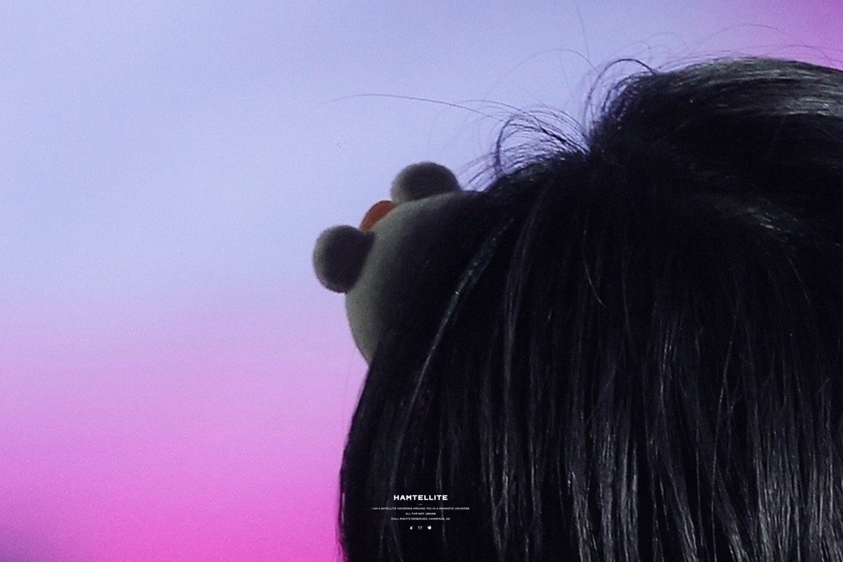 Hamtellite tweet media