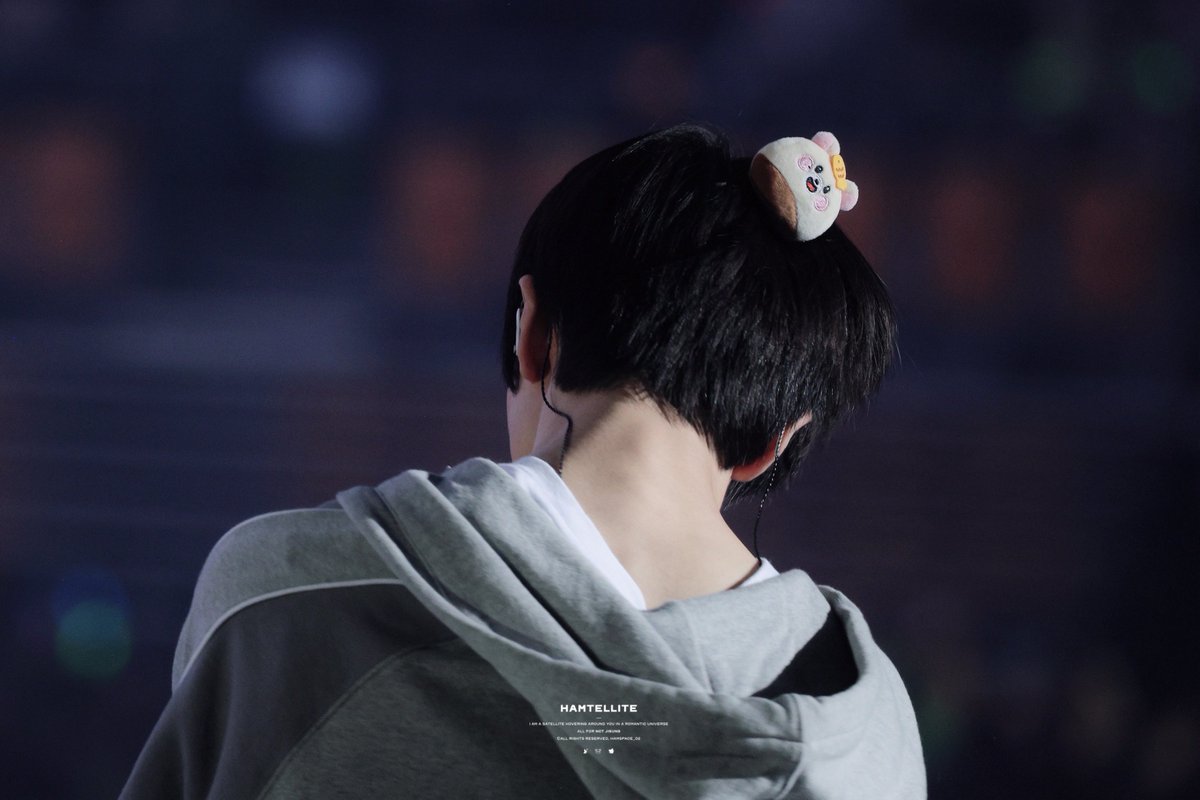 Hamtellite tweet media