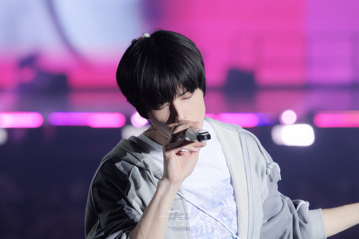 Hamtellite tweet media