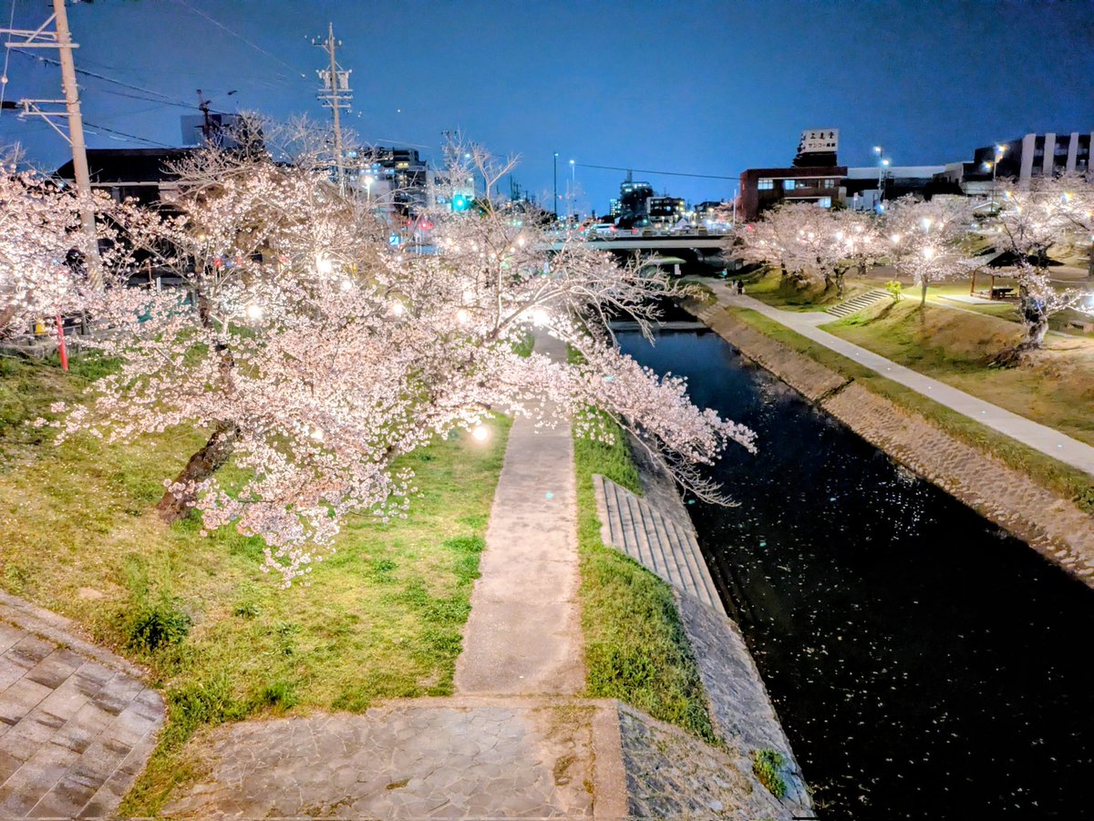 コスオール!(コスプレイベント)【公式】 tweet media