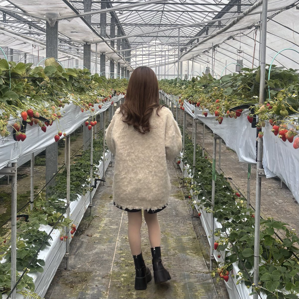 𝑠𝑢𝑢 tweet media