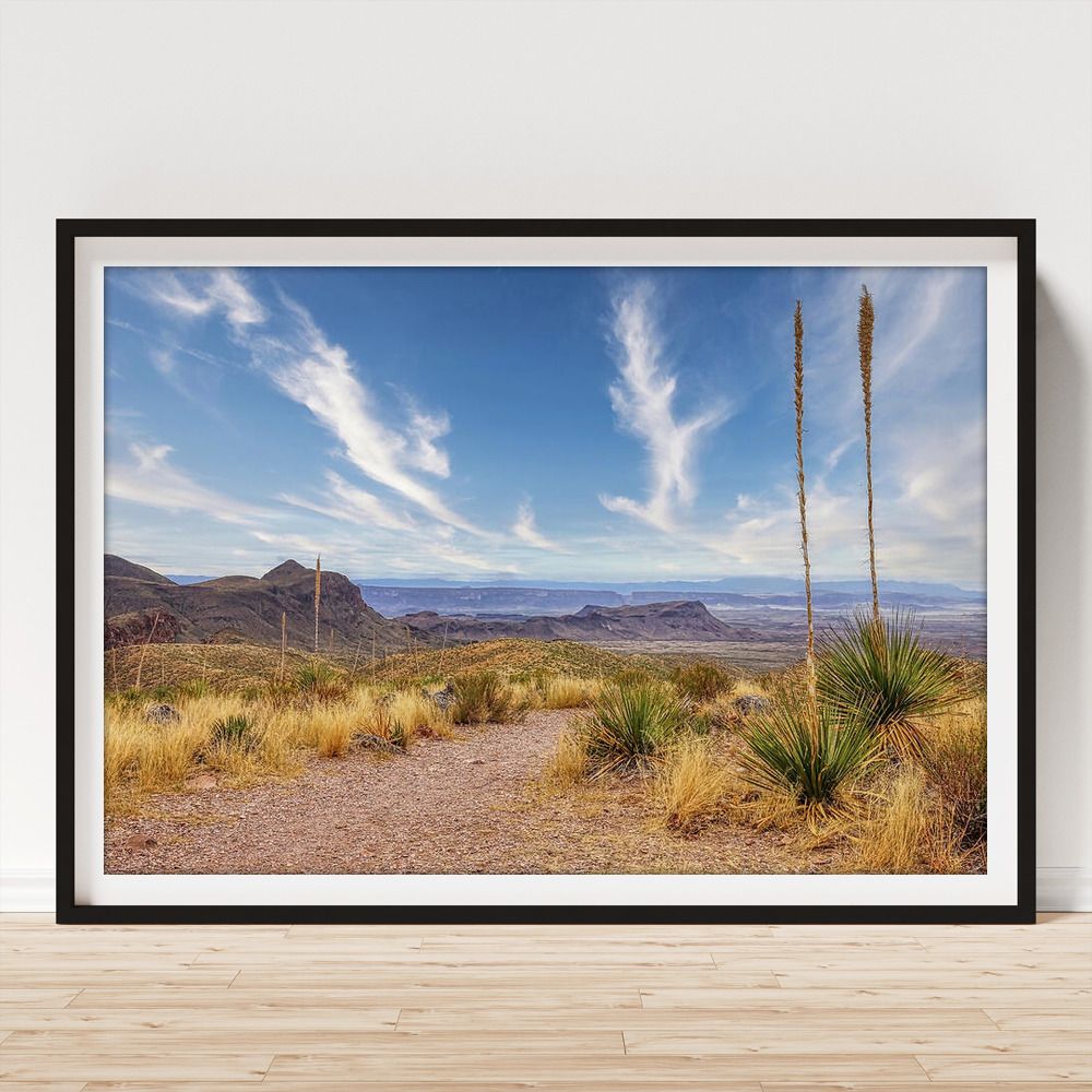 Judy Vincent Photography tweet media