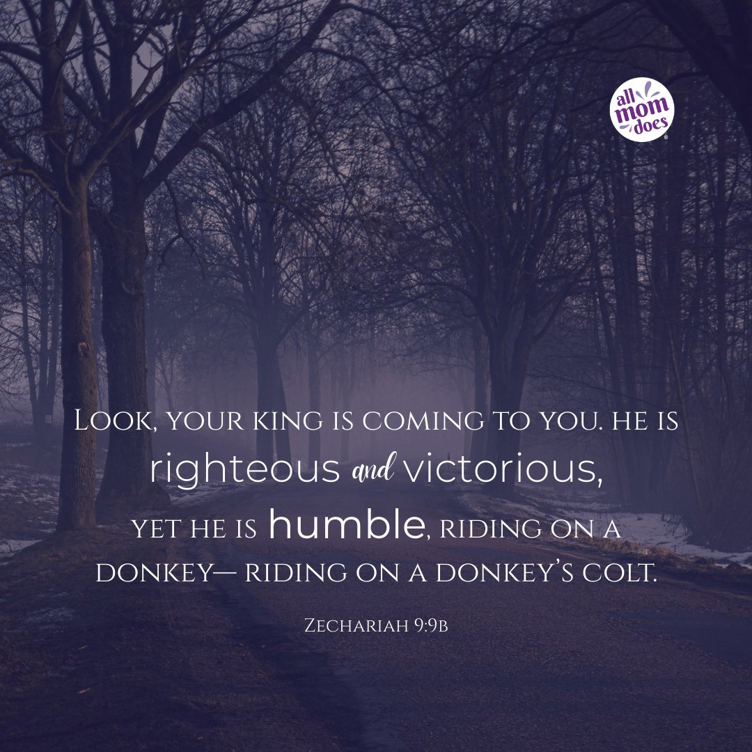 AllMomDoes tweet media