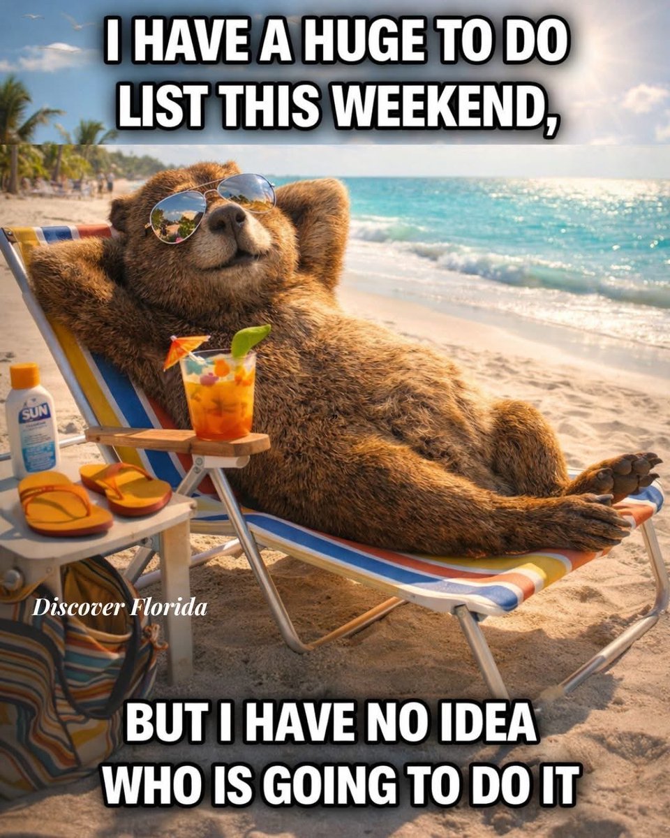 the garden gnome tweet media