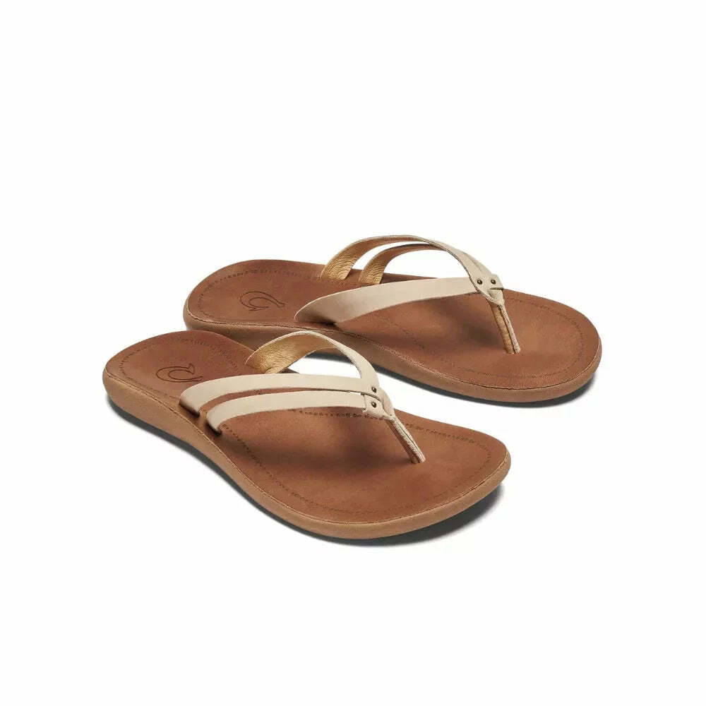 Sandy Point Progressive Sports tweet media