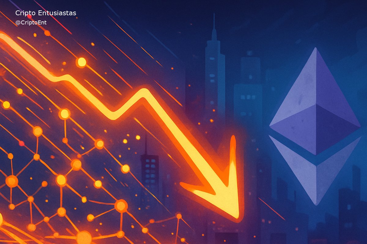 Cripto Entusiastas tweet media