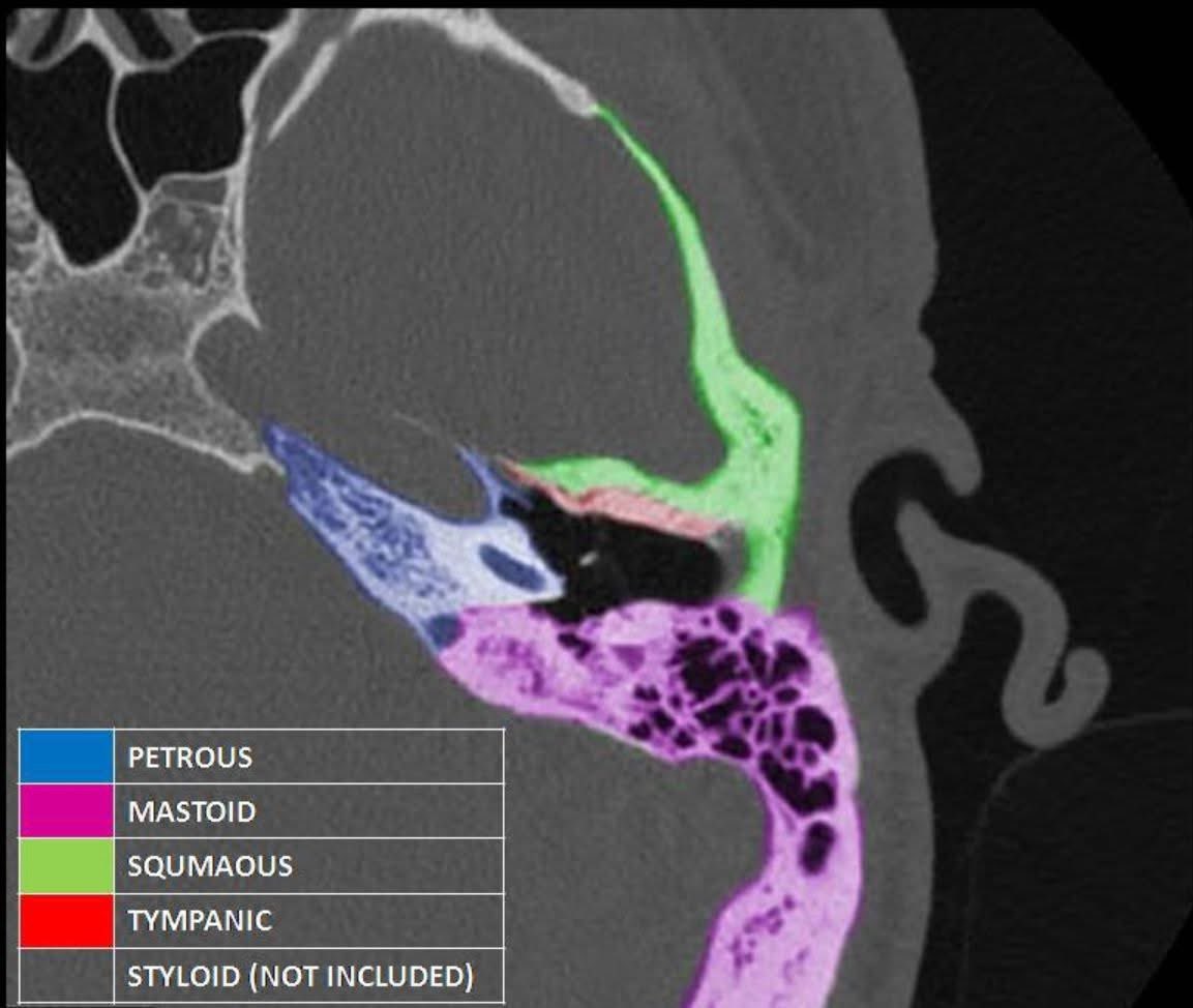 Seraj Ajaj tweet media