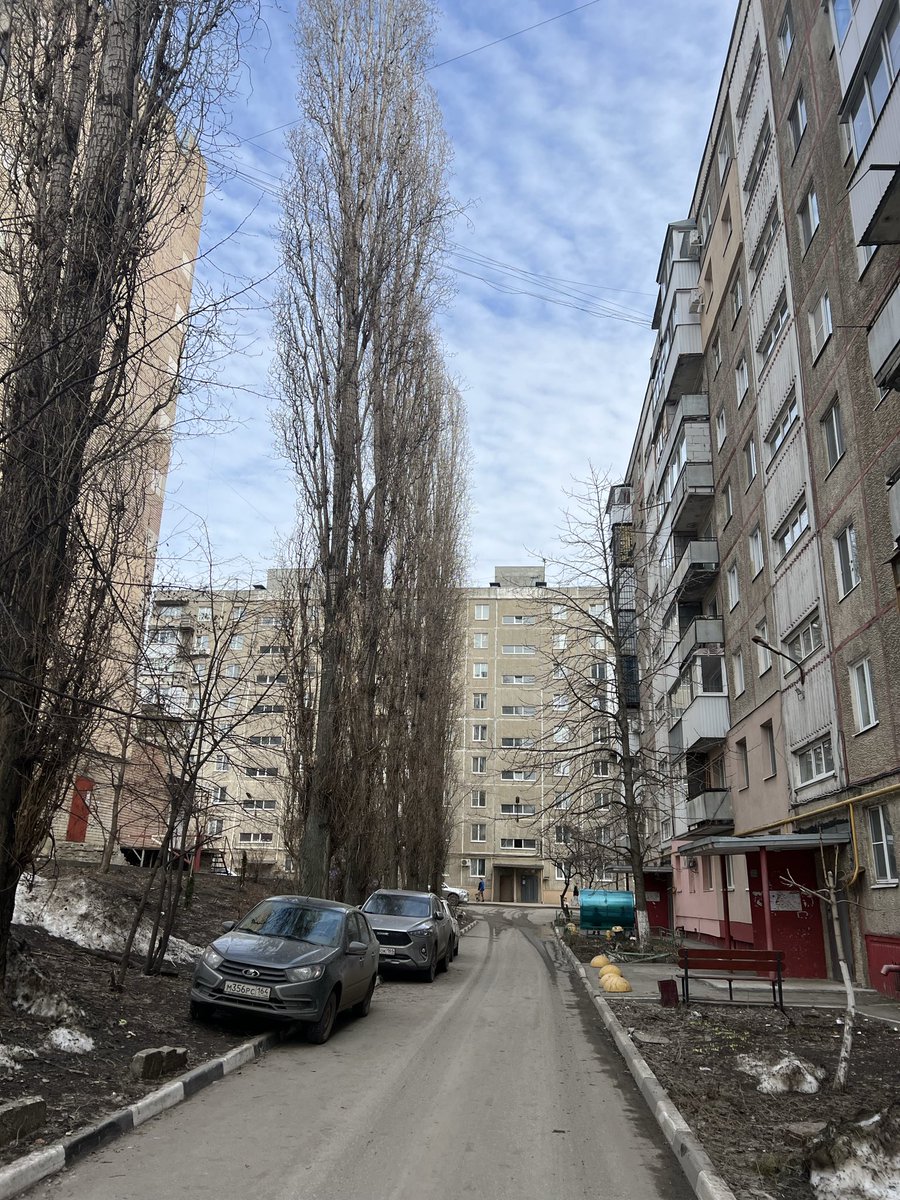 максим максимыч tweet media