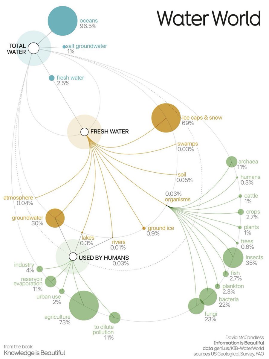Tuğba Evrim Maden tweet media