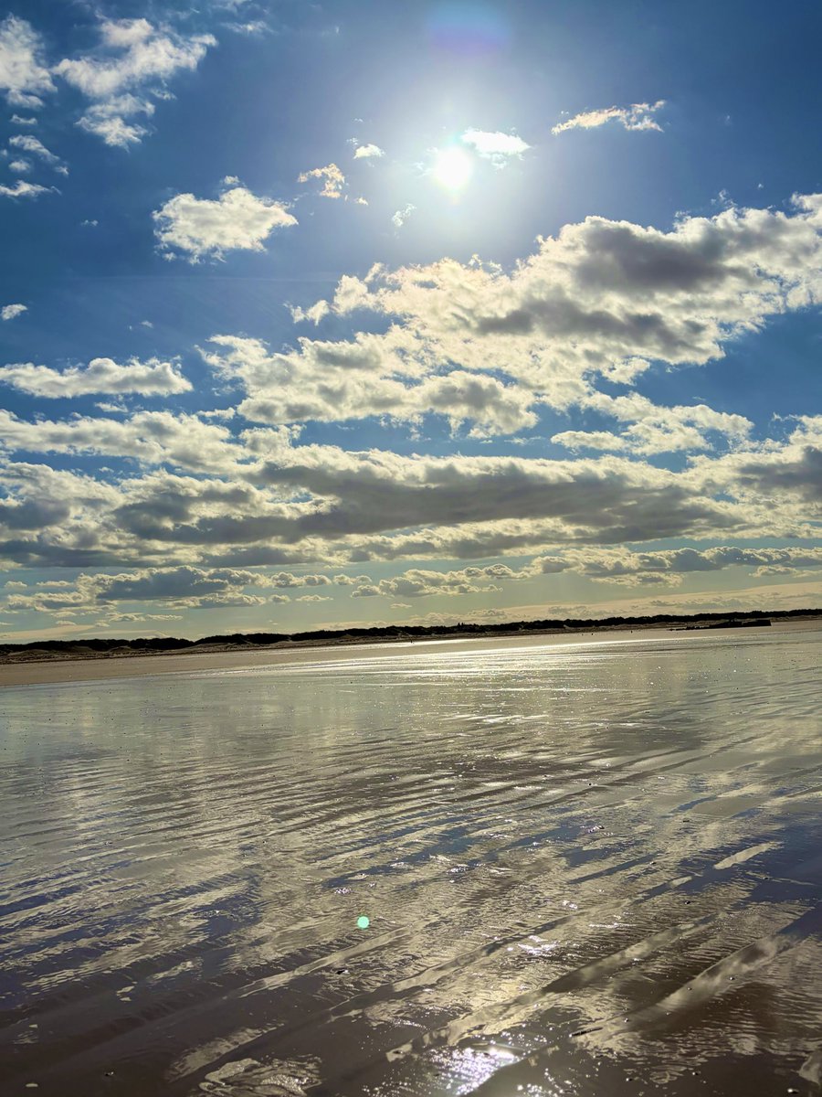 Sarah coxh tweet media