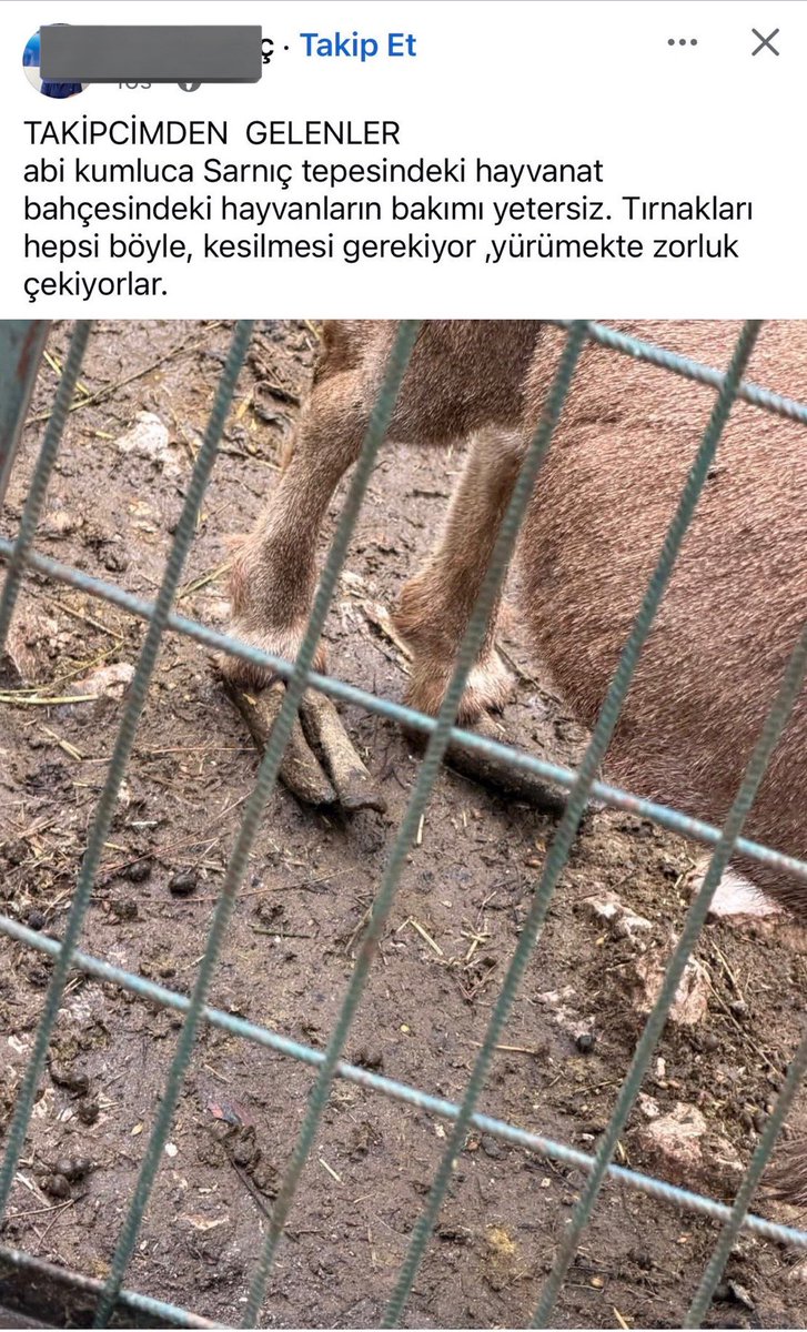 Bu Tag Neden Var tweet media