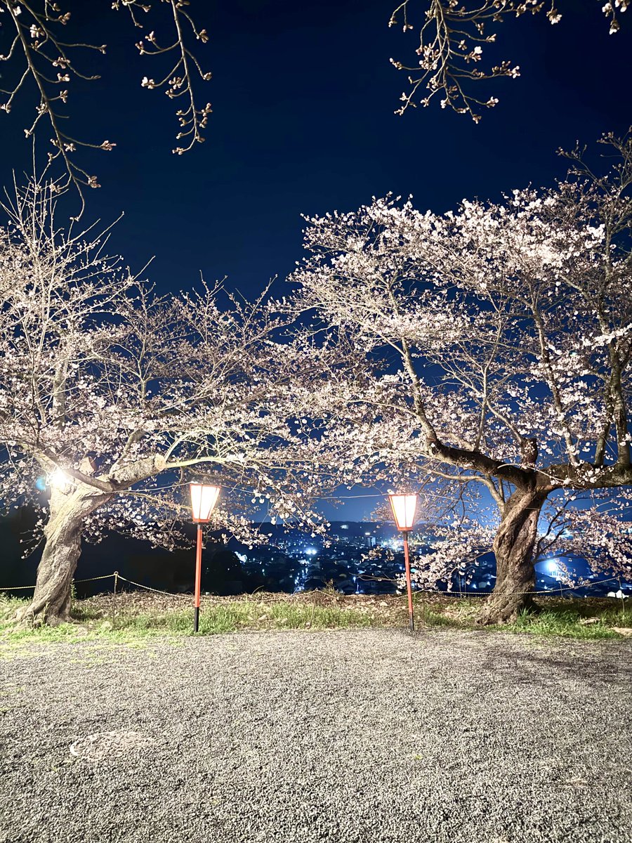 けいカメラ tweet media