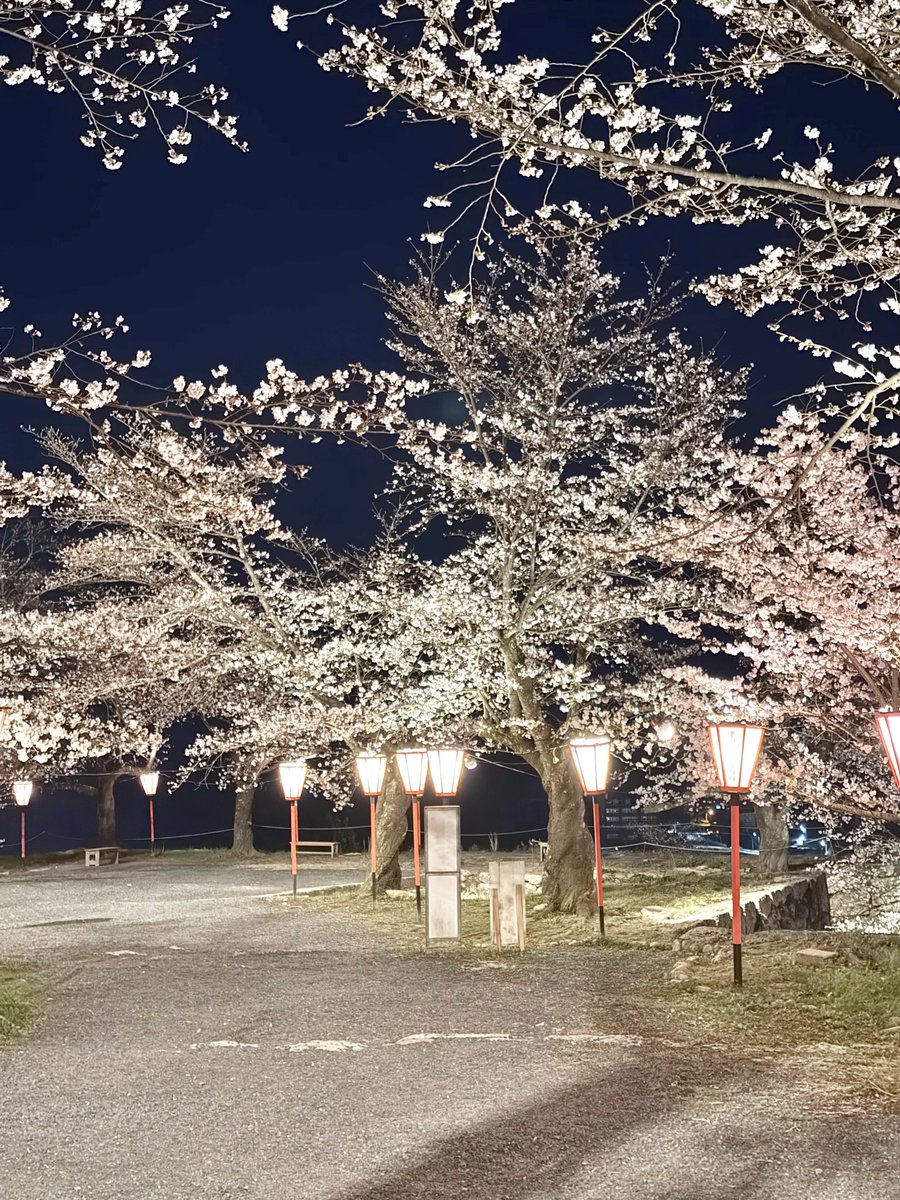 けいカメラ tweet media