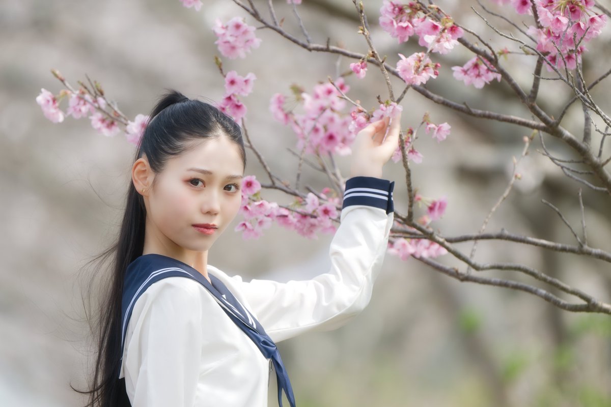 ヤワらぎ(📸) tweet media