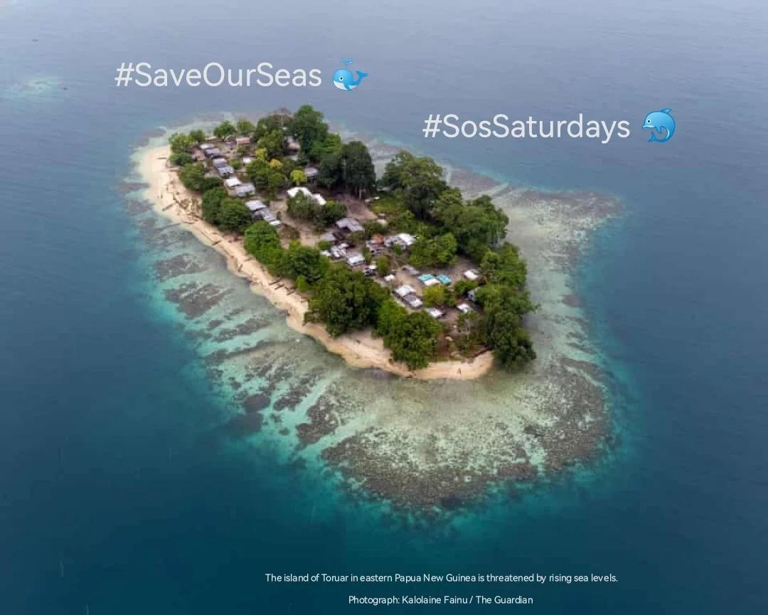 endelstamberg's tweet photo. #SosSaturdays 🐳 Week 305
"Analysis shows average levels are 30cm higher than thought, and up to 150cm in south-east Asia and Indo-Pacific"*
#SaveOurSeas 🐬
@SosSaturdays
@WorldOceansDay
@Greenpeace https://t.co/hVmnbybqAX