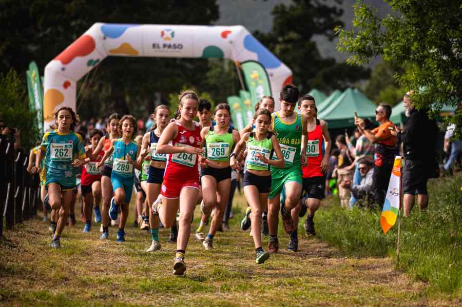 elapuron's tweet image. Reventón Kids HiperDino impulsa a las nuevas promesas del trail
elapuron.com/noticias/depor…

#reventonkids #elpaso #reventon #LaPalma