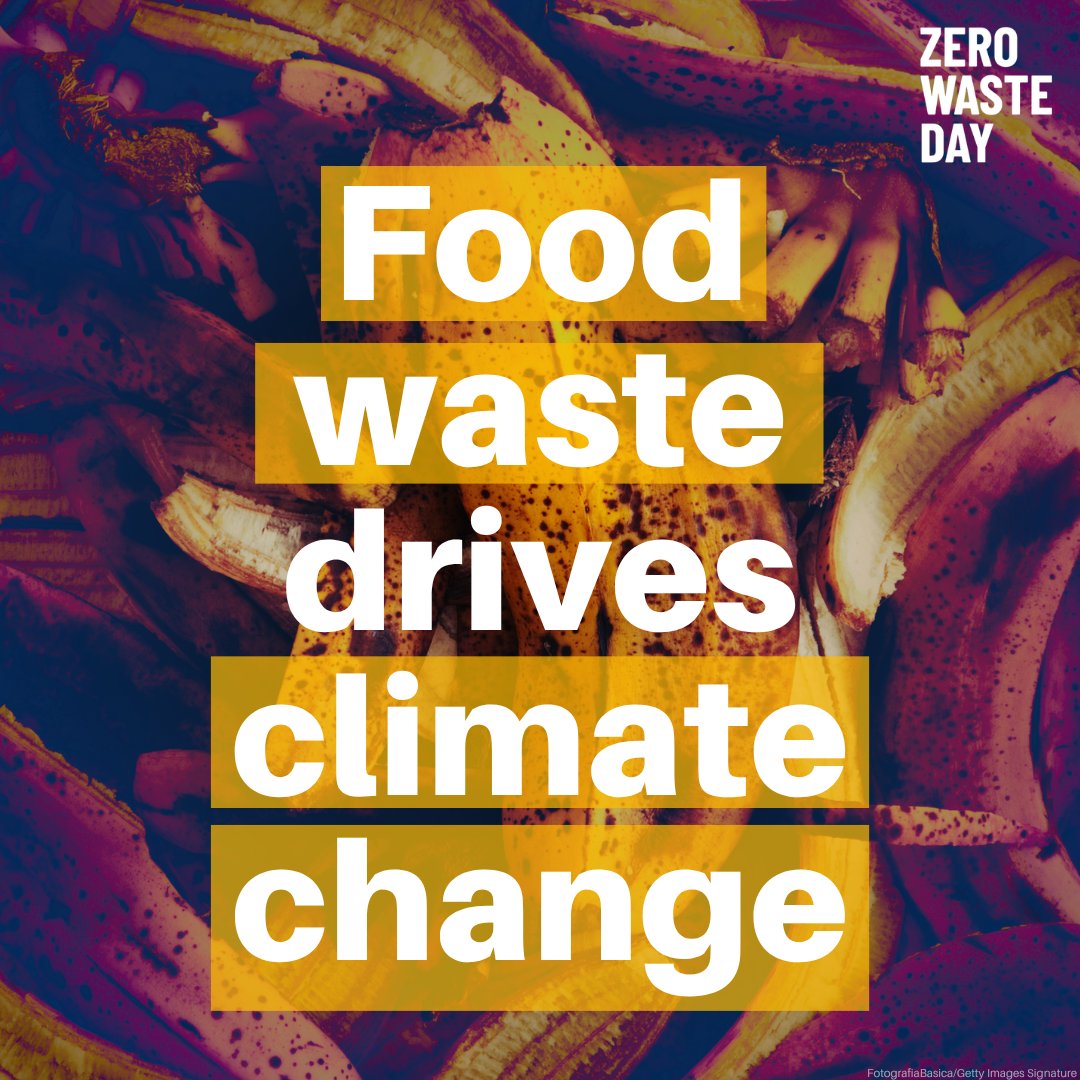UNEP's tweet photo. When food is wasted, so are the resources used to grow, refrigerate, and distribute it.

Food loss and waste generate up to 10% of global greenhouse gas emissions, and food waste alone drives up to 14% of global methane emissions.

Reducing food loss and waste is important for decreasing emissions and limiting warming.

https://t.co/WdI0OYyOwW #ZeroWasteDay