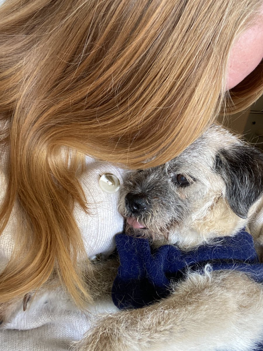 HeidiBT3 Lady caikey member of the house of woofs tweet media