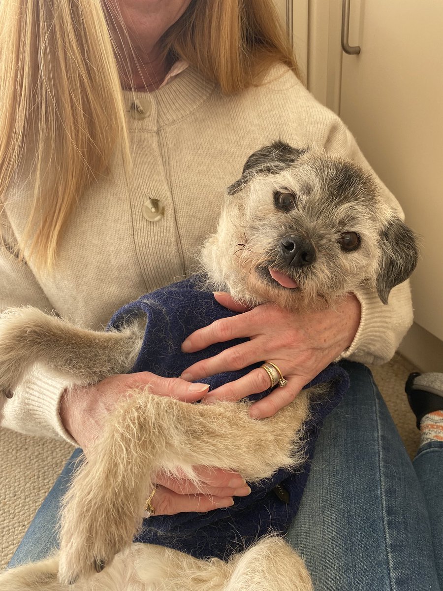 HeidiBT3 Lady caikey member of the house of woofs tweet media