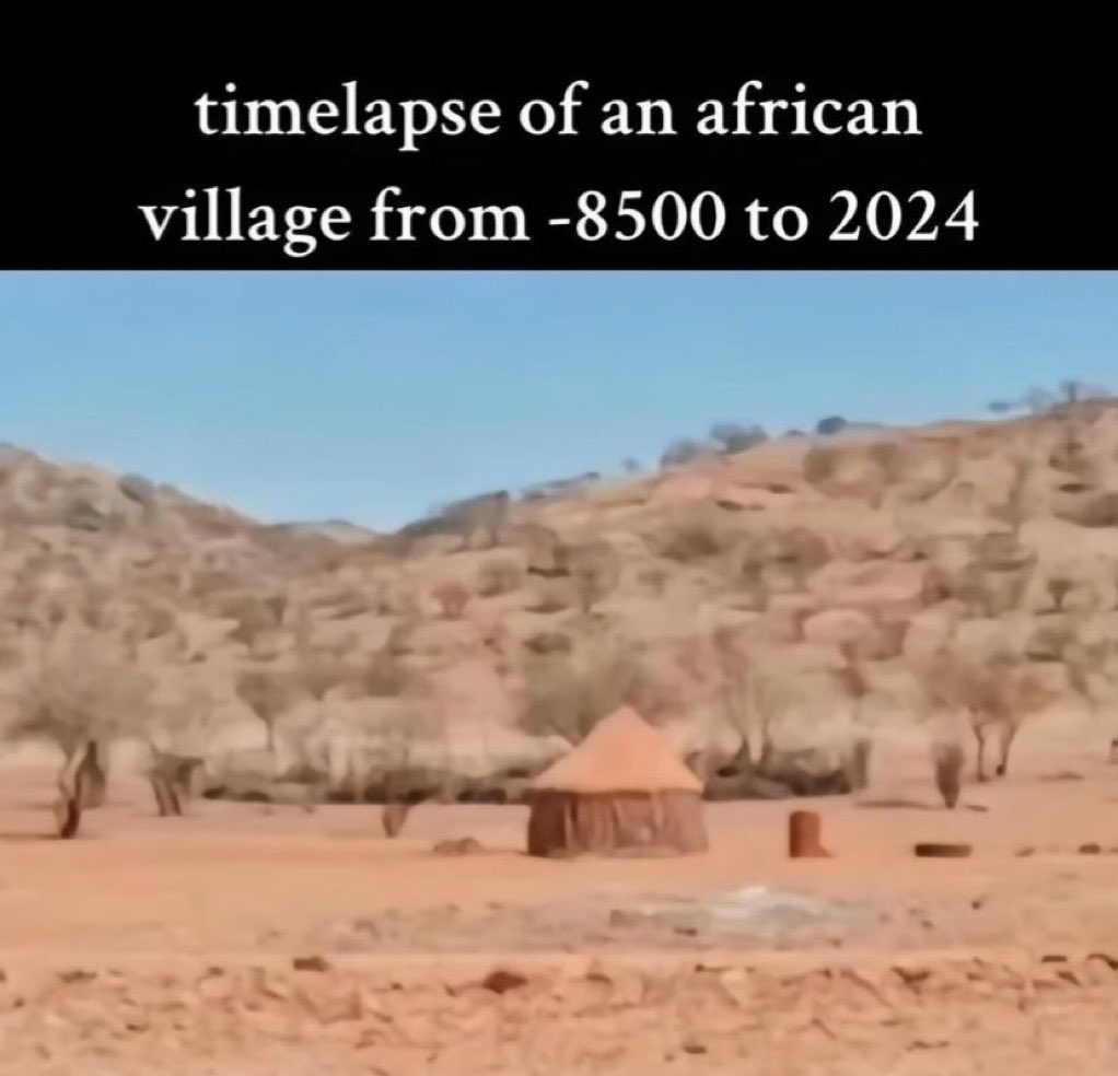 FreedomSeed tweet media