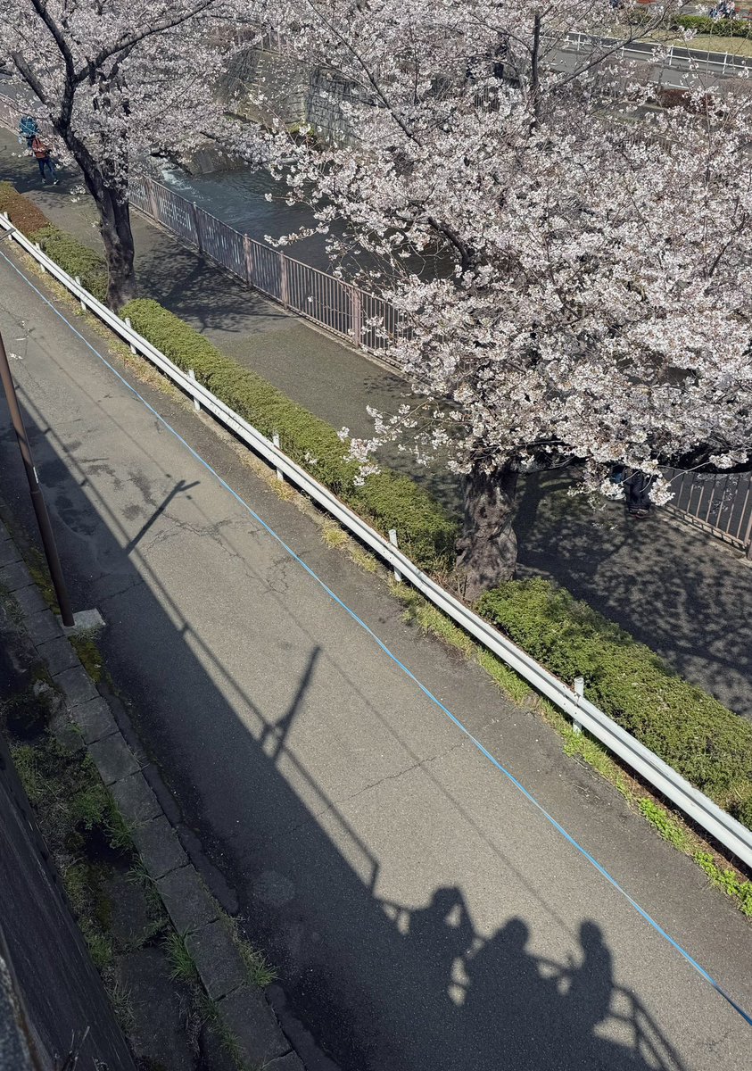 センスイ tweet media