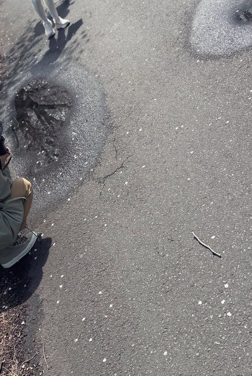 センスイ tweet media