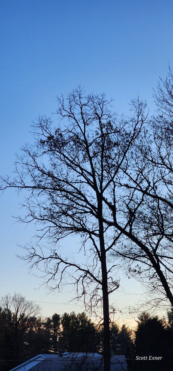 💲©️☀️🏋‍♂️🏋‍♂️ ❌️ tweet media