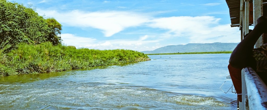 Anzo Emmanuel Gabule tweet media