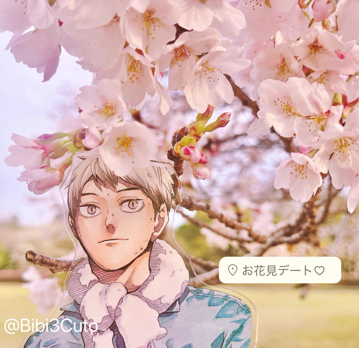 あぴぽぽ tweet media