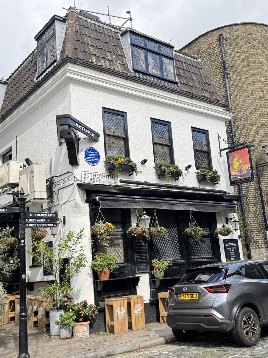 Sammy I.Tsunematsu tweet media