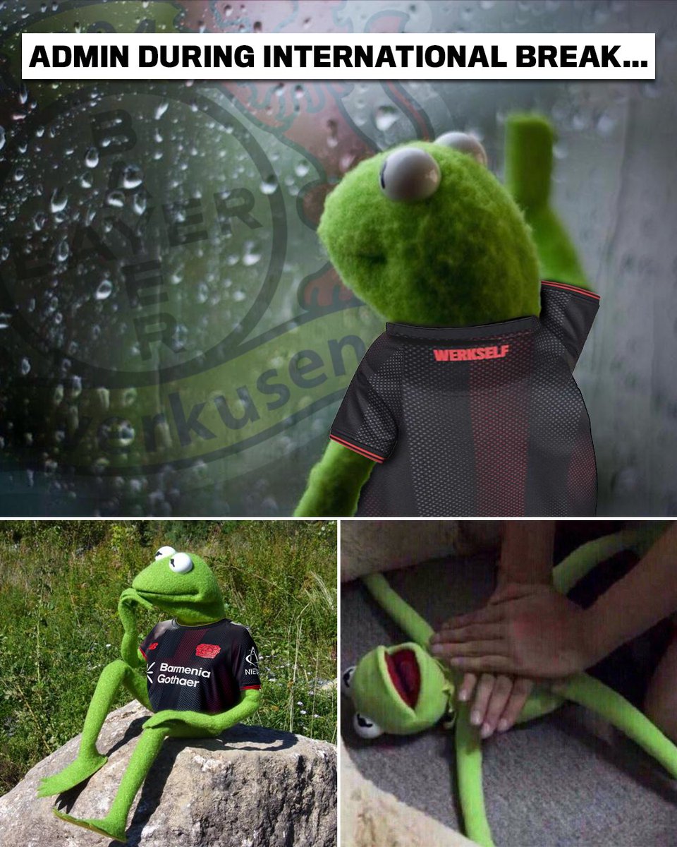 Bayer 04 Leverkusen tweet media