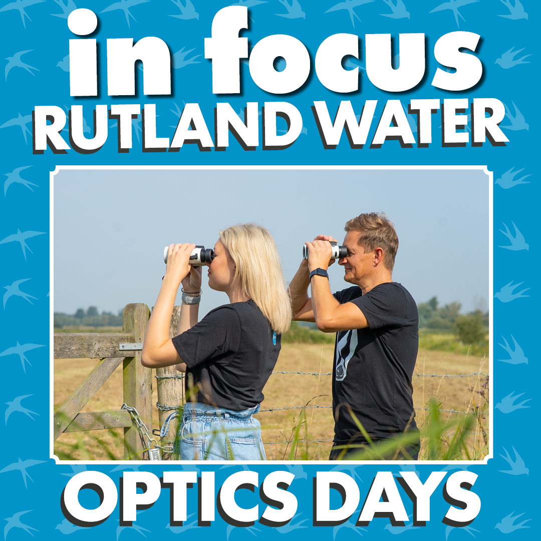 infocus_retailers tweet media