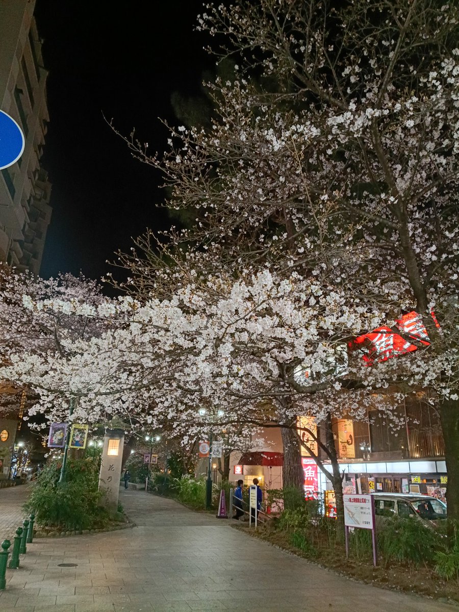 こーじくん@🐥🐯⚽🍺🏇🎤📻🚅🐶 tweet media