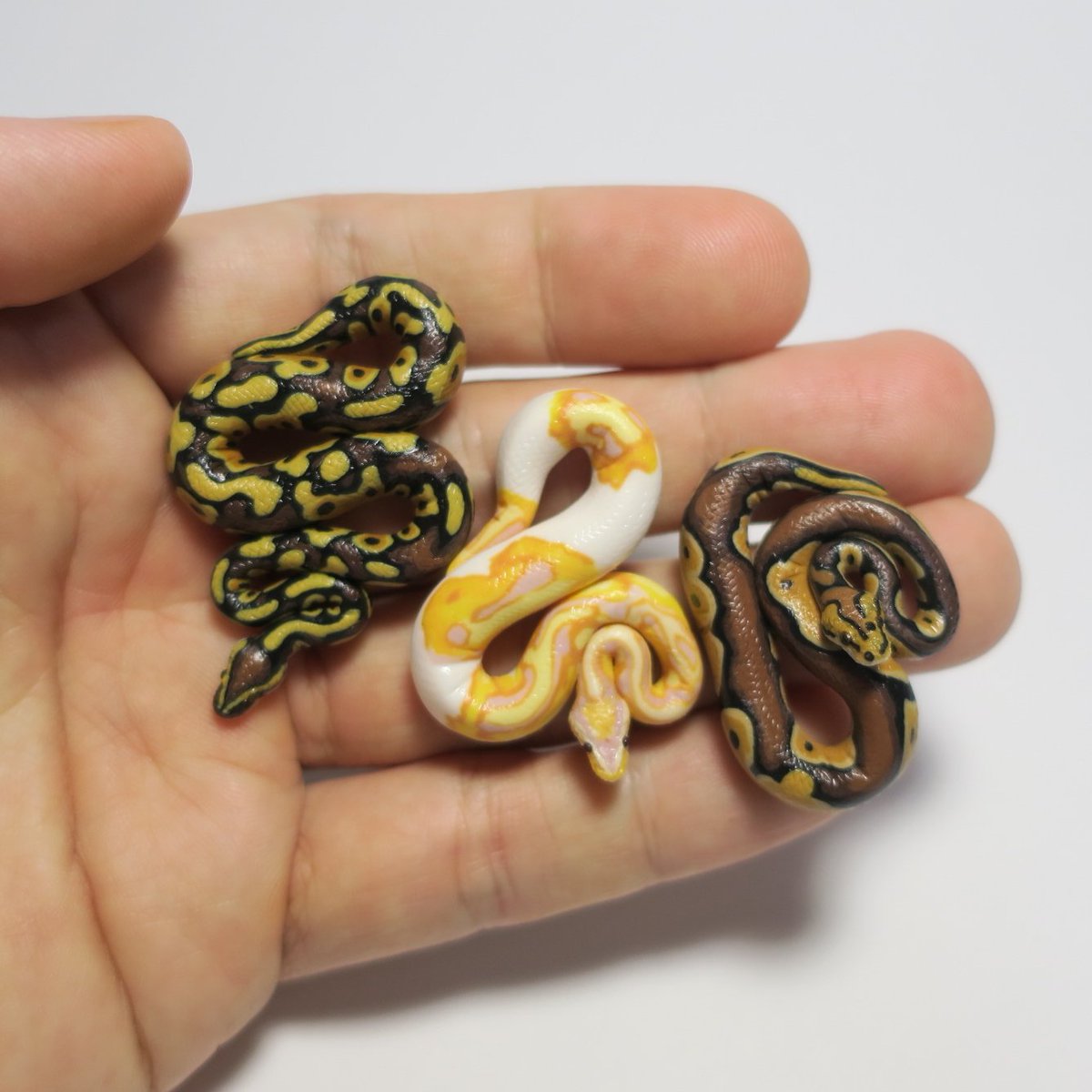 三浦二郎 tweet media