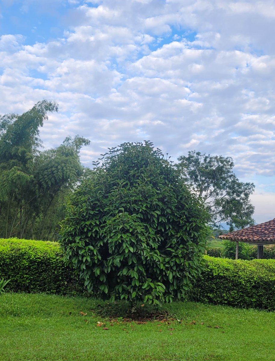 FAR〽️ER tweet media