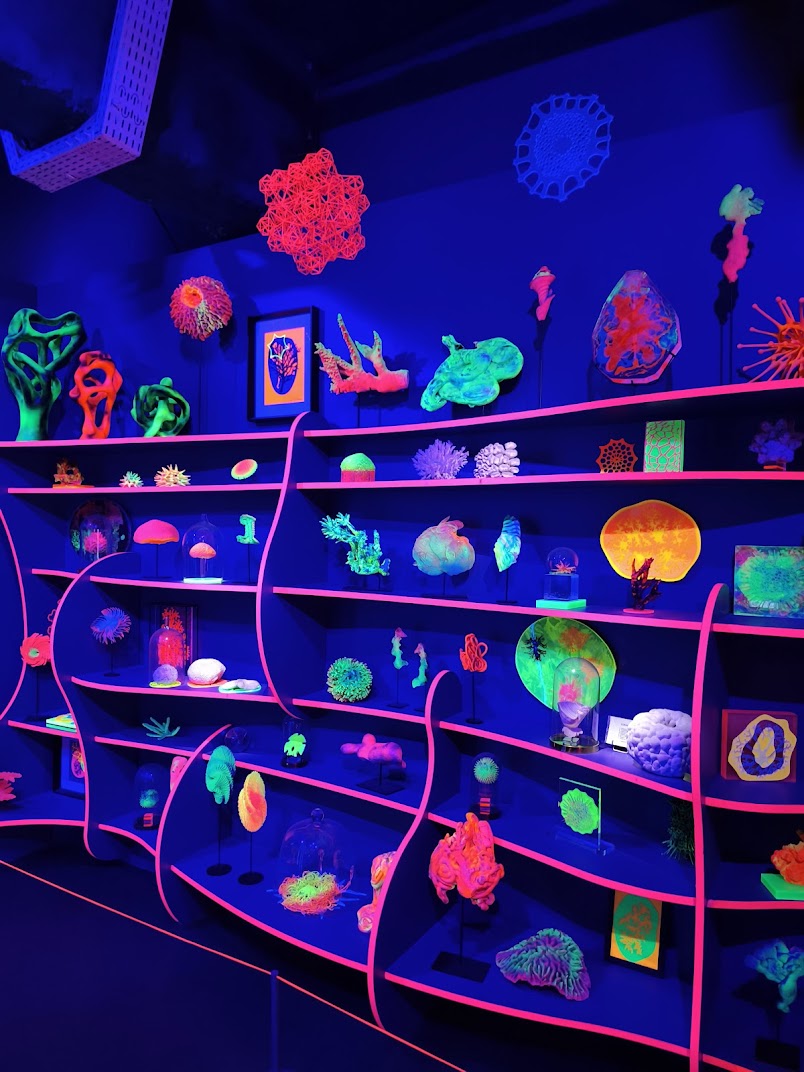 Les Astuces de Paris tweet media