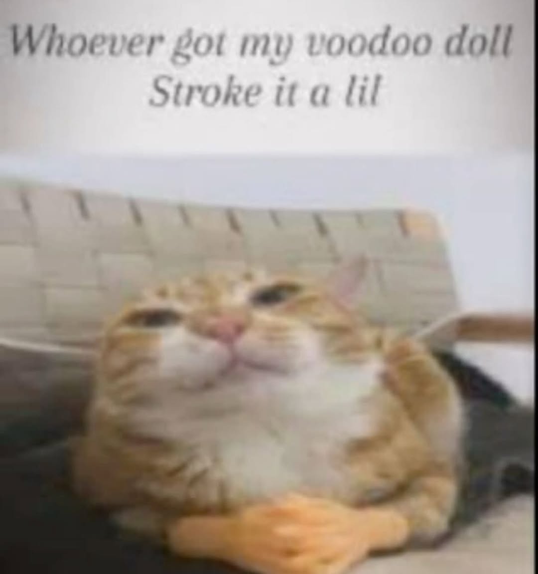 E-Girl Hunter tweet media