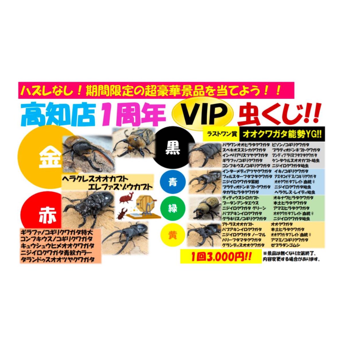 D.N.A高知店_昆虫アカウント tweet media