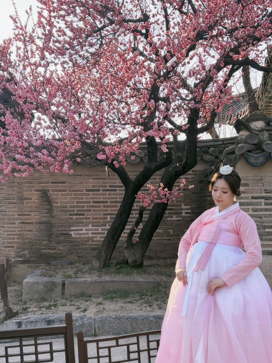 mya__nya__'s tweet photo. 🌸 https://t.co/APrSGnBlBE