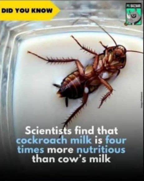 GoodLife💜👑 tweet media