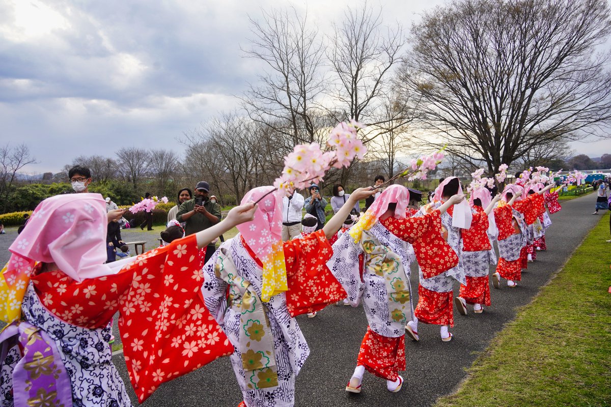 ダーク tweet media