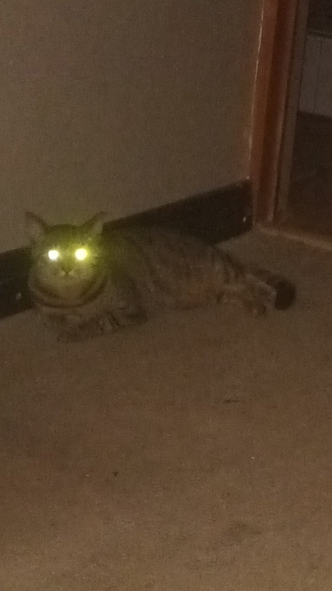 Nick Groves tweet media