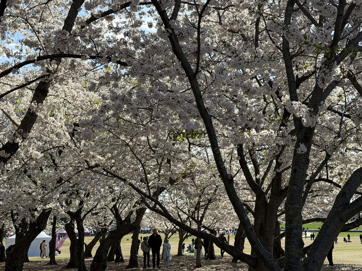 Derek Sutherland tweet media