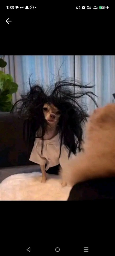 Moyin 🌹 tweet media