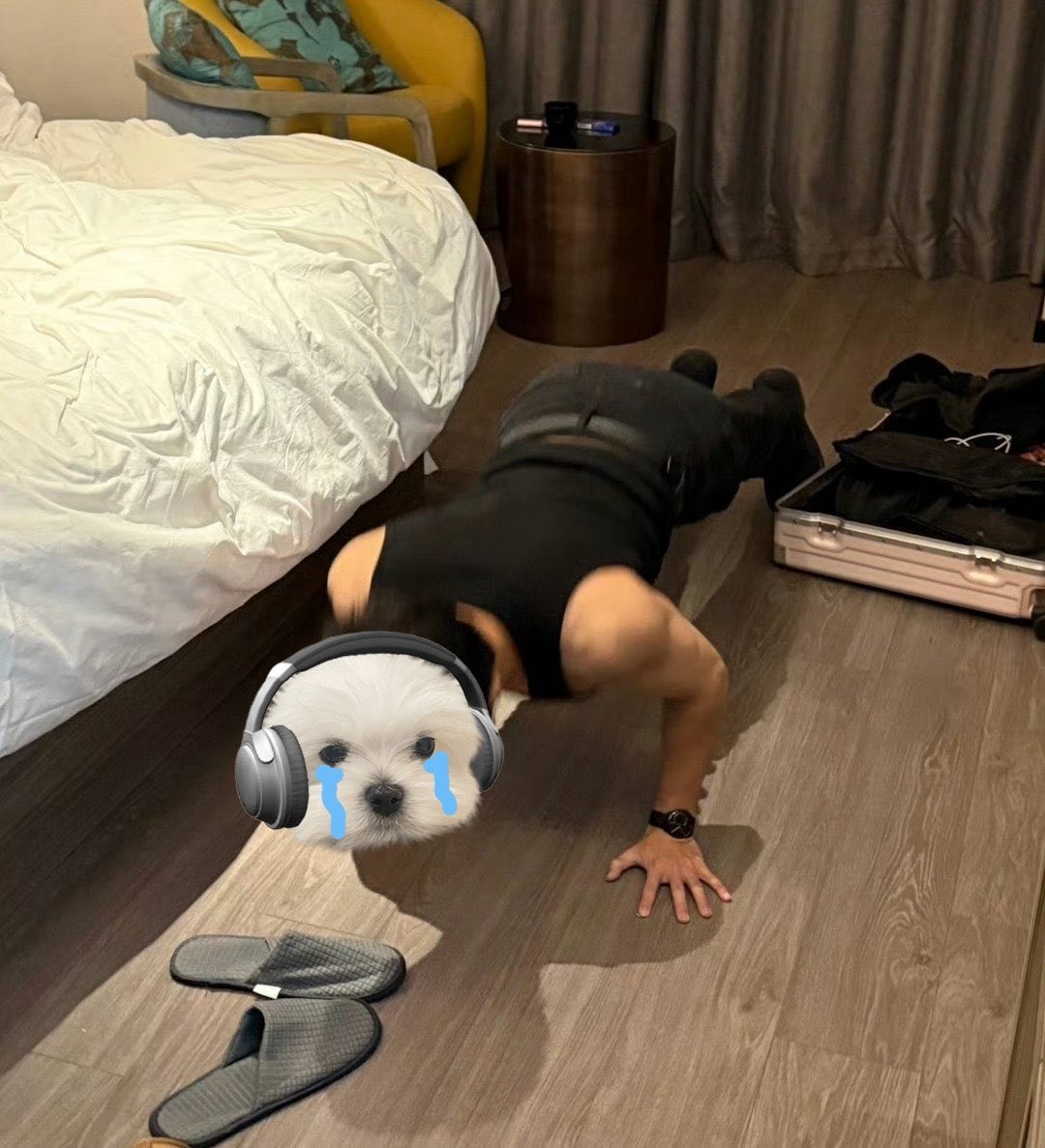 兔宝宝 tweet media