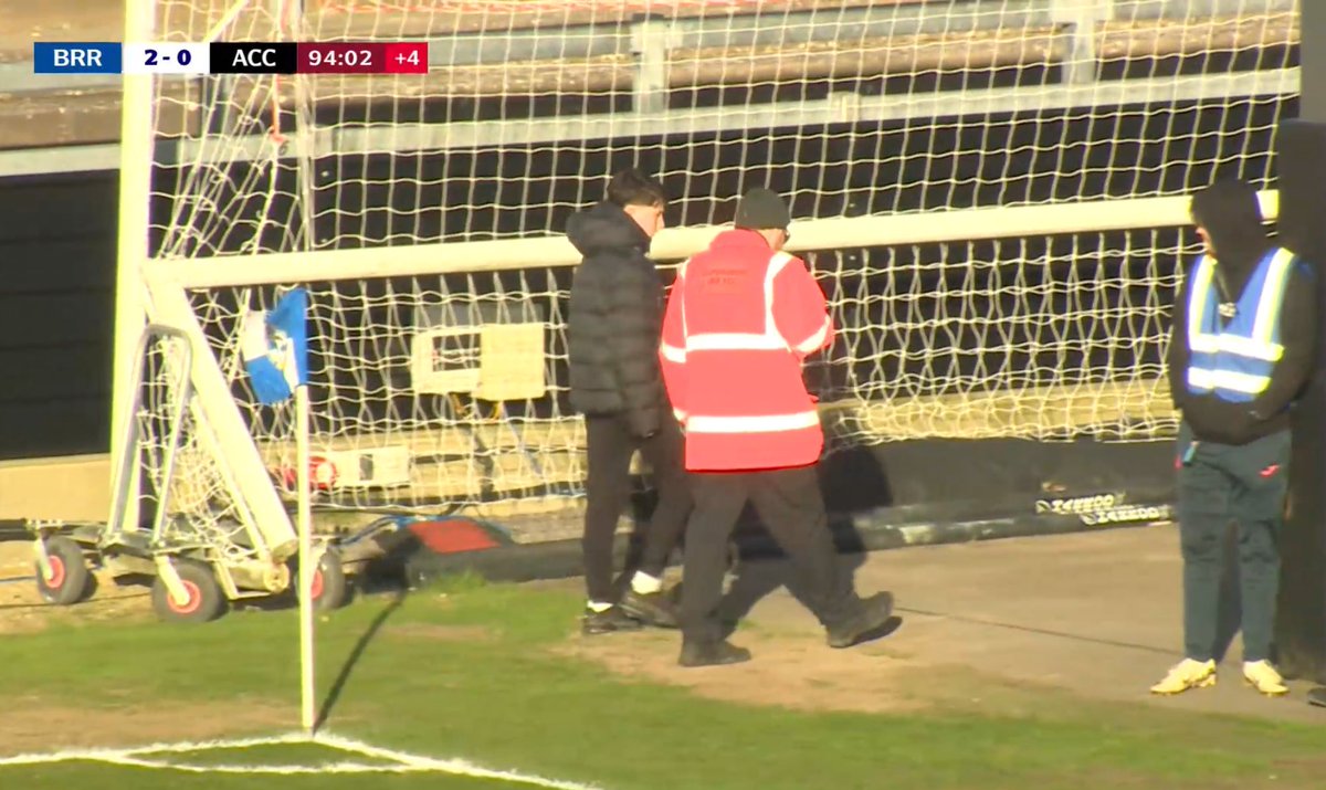 kieran yo 🐾 tweet media