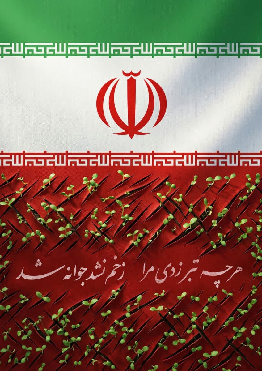 قاسمی tweet media