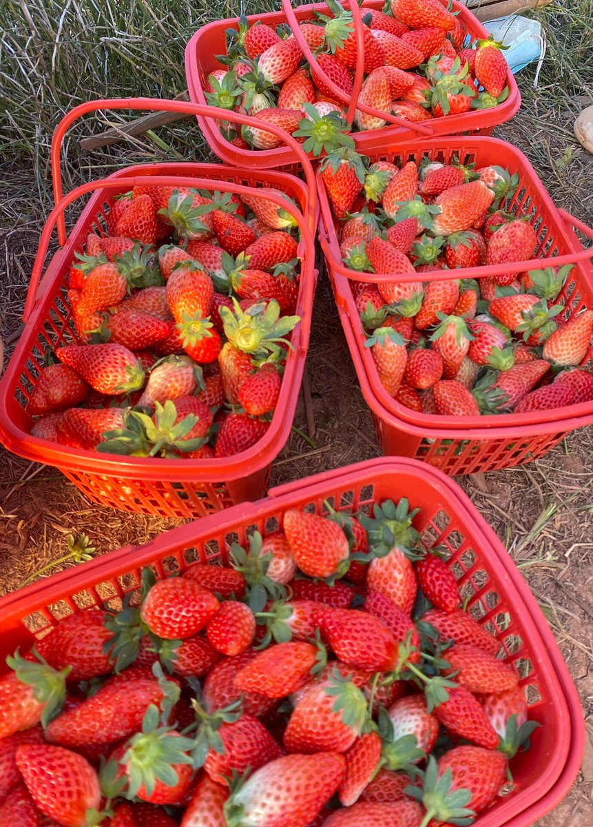 dustin asby tweet media