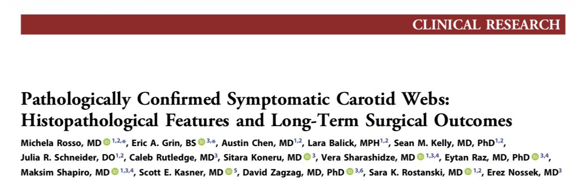 Michela Rosso tweet media